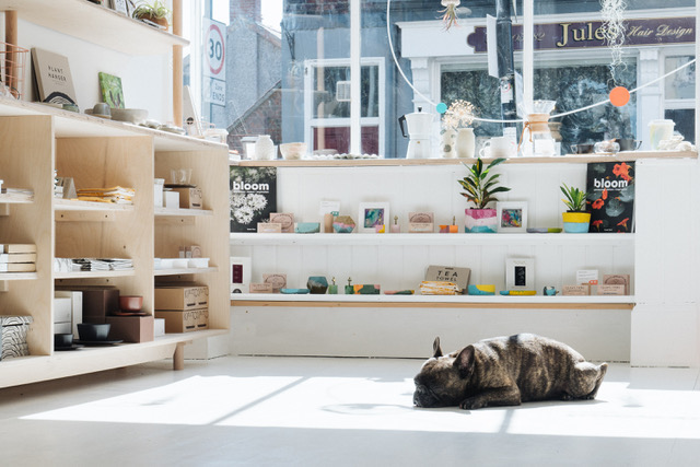 store-spotlight-mlkwood-store